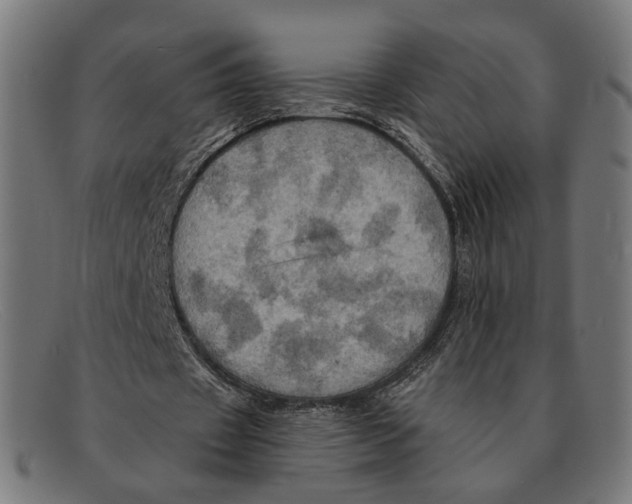 X0000091460433200709131737