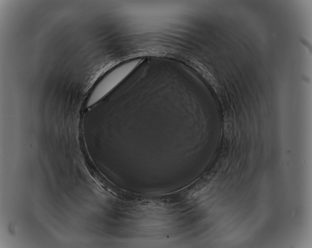 X0000091460434200709131737
