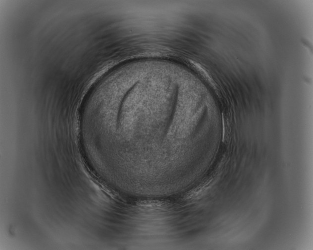 X0000091460435200709131737