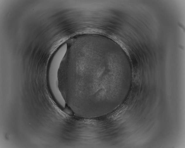 X0000091460437200709131737