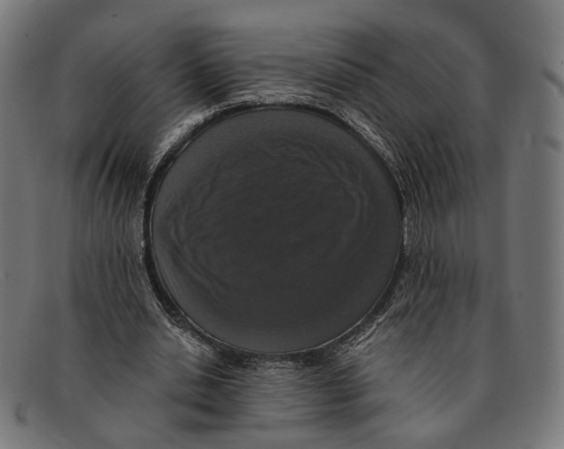 X0000091460438200709131737