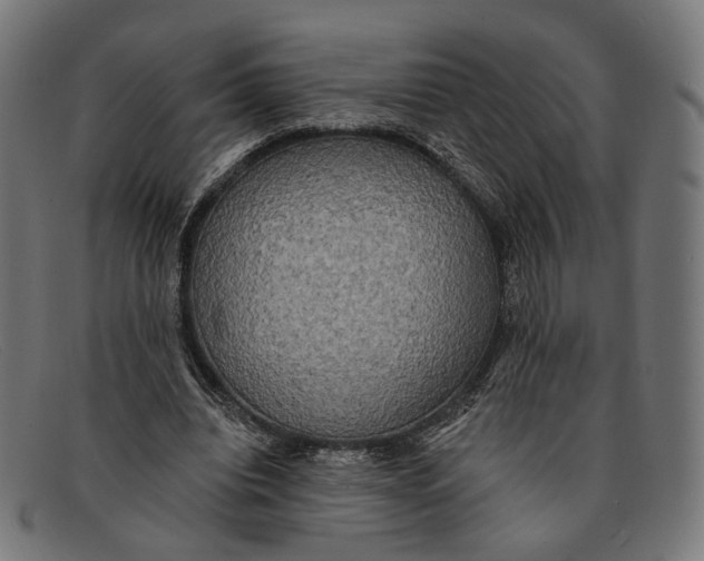 X0000091460440200709131737