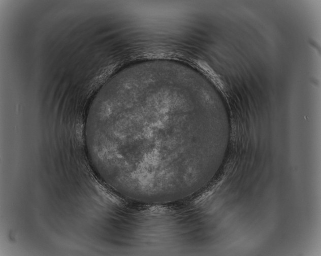 X0000091460441200709131737