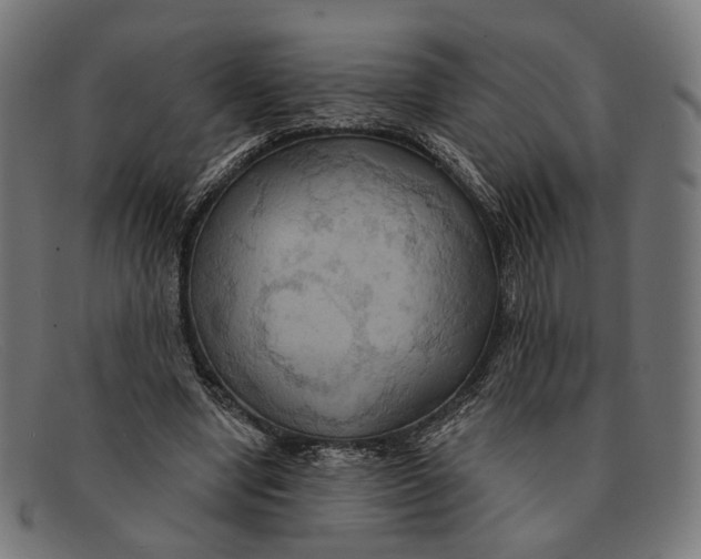 X0000091460442200709131737