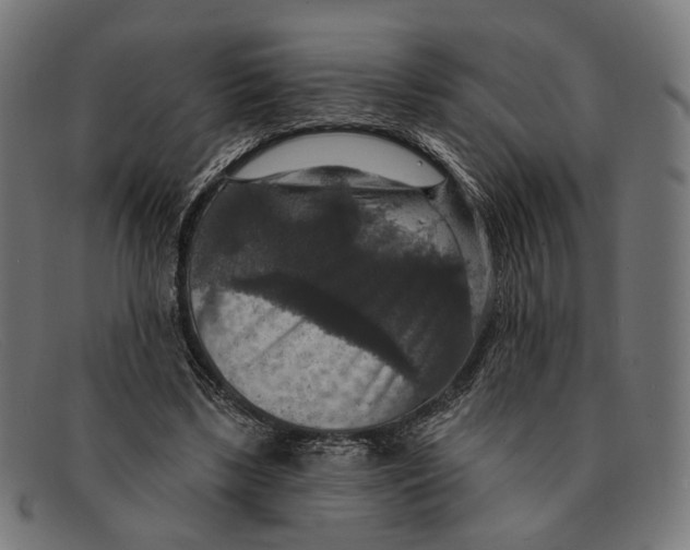 X0000091460443200709131737