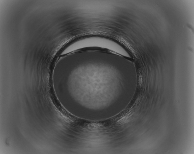 X0000091460444200709131737