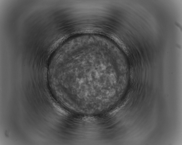 X0000091460445200709131737