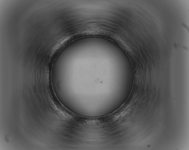 X0000091460446200709131737