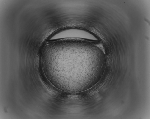 X0000091460448200709131737