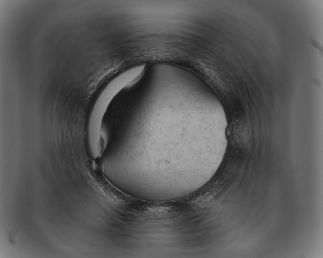 X0000091460450200709131737