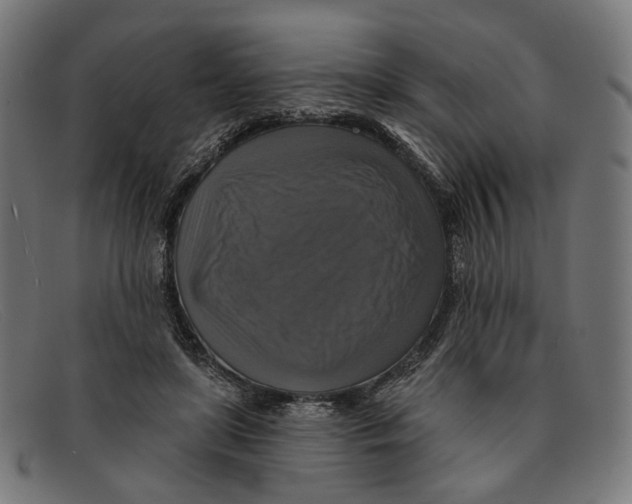 X0000091460451200709131737