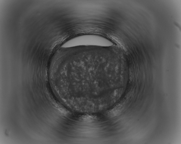 X0000091460453200709131737