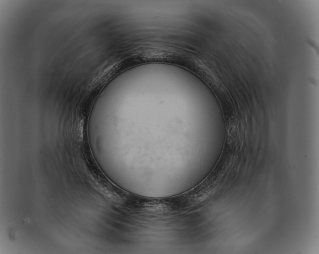 X0000091460454200709131737