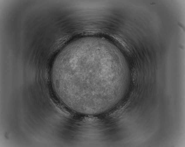 X0000091460455200709131737