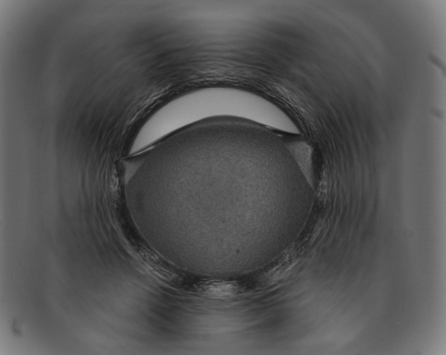 X0000091460456200709131737