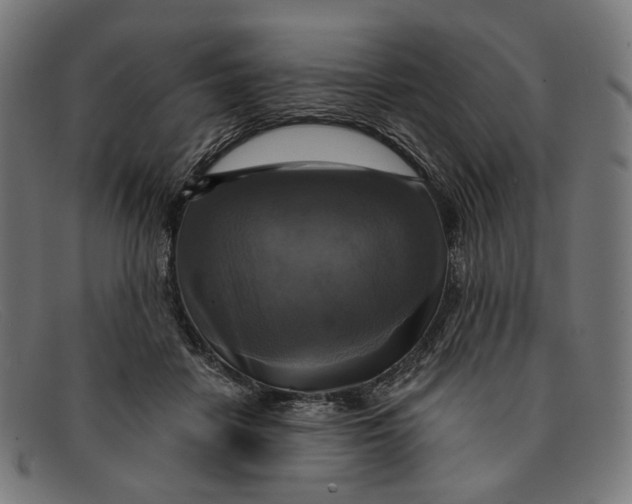 X0000091460458200709131737