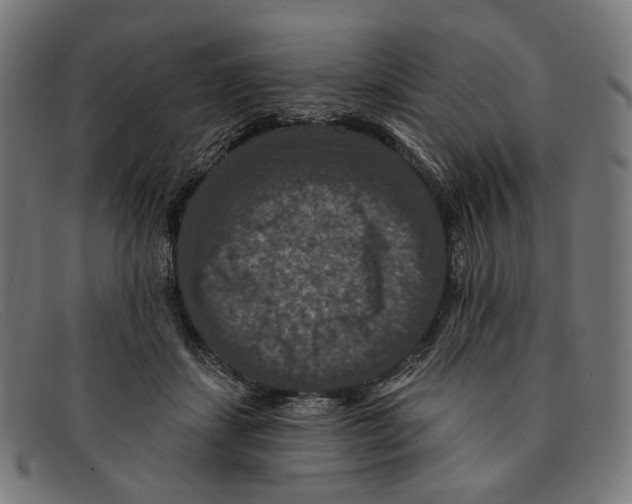 X0000091460459200709131737