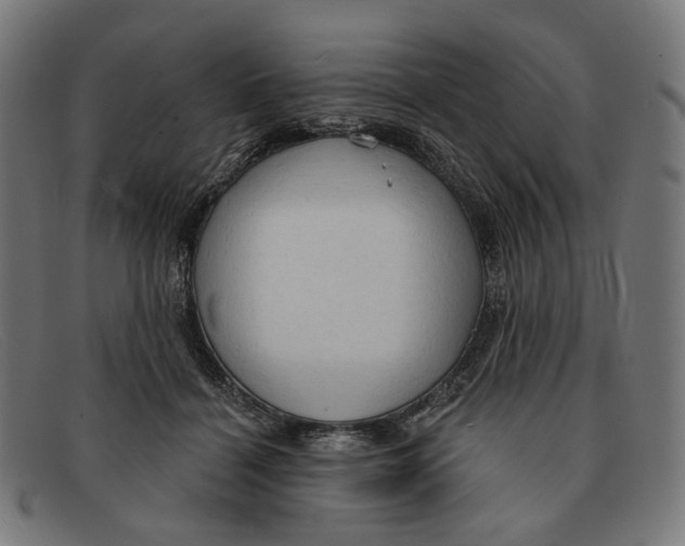 X0000091460460200709131737
