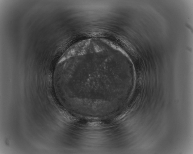 X0000091460461200709131737