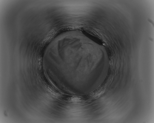 X0000091460462200709131737