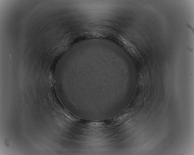 X0000091460465200709131737