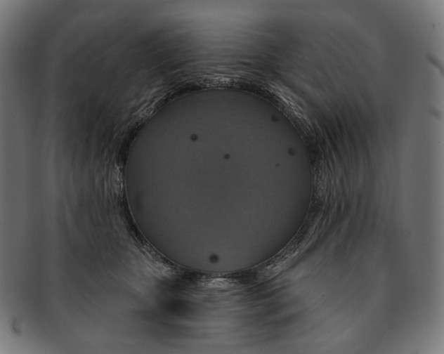 X0000091460467200709131737