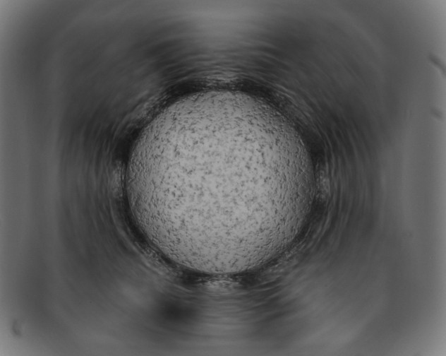 X0000091460468200709131737