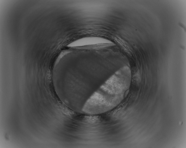 X0000091460469200709131737