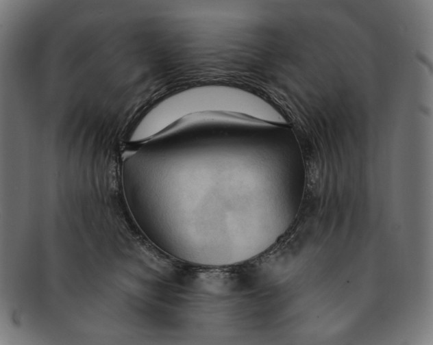 X0000091460470200709131737