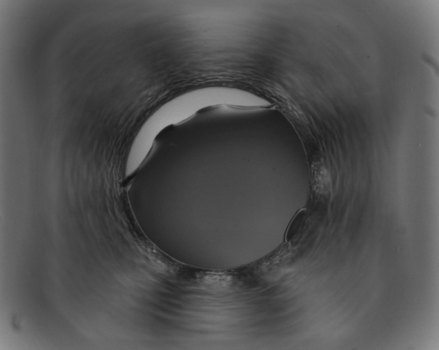 X0000091460471200709131737