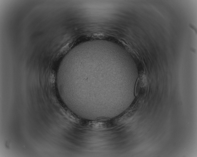 X0000091460472200709131737
