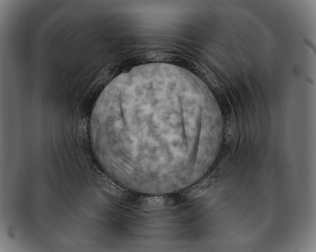 X0000091460473200709131737