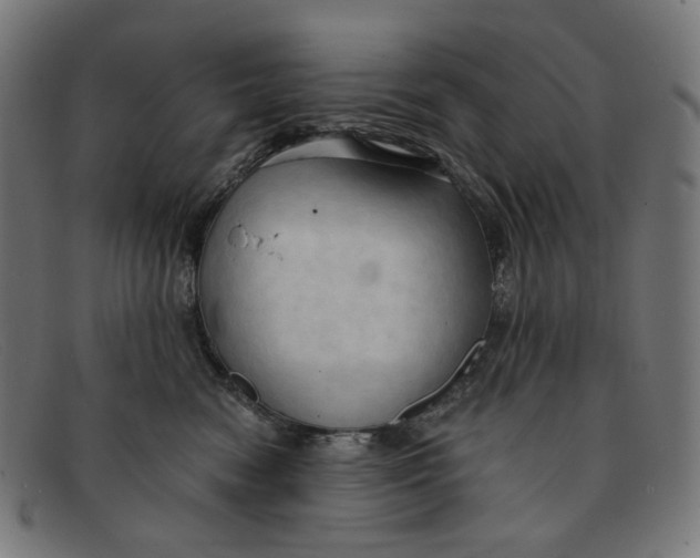 X0000091460474200709131737