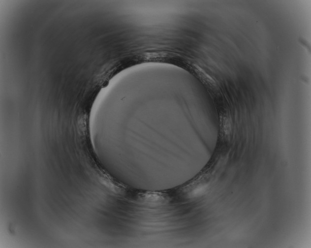 X0000091460475200709131737