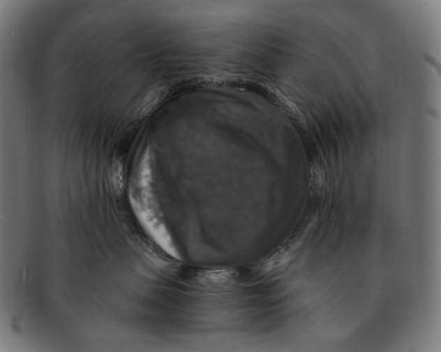 X0000091460479200709131737