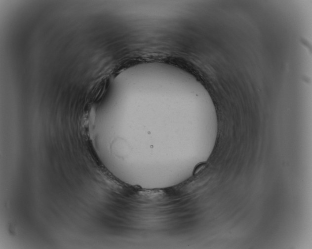 X0000091460480200709131737