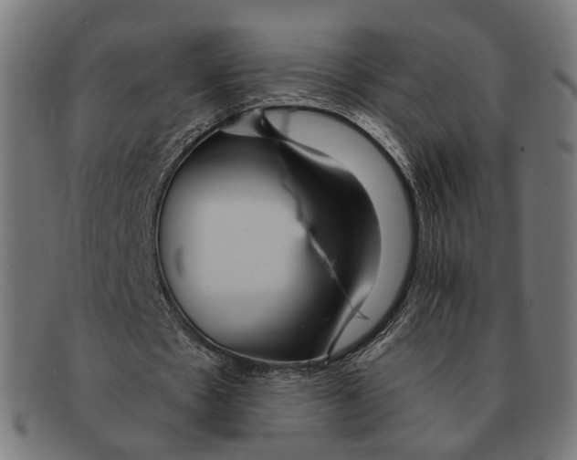 X0000091460481200709131737
