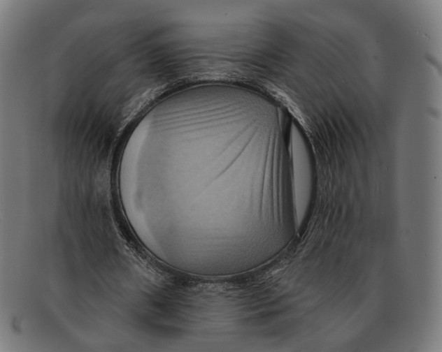X0000091460482200709131737