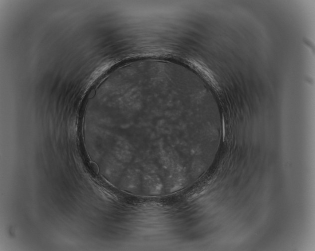 X0000091460483200709131737