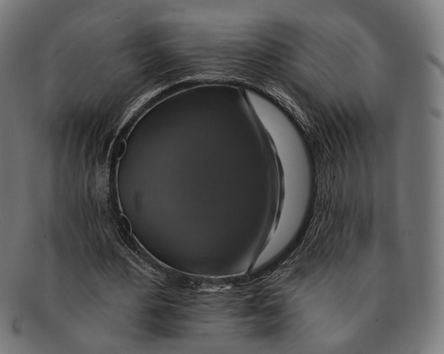 X0000091460484200709131737
