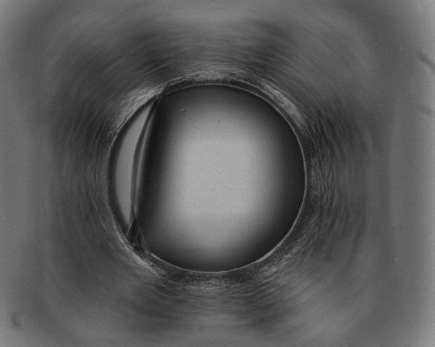 X0000091460485200709131737