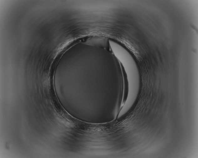 X0000091460488200709131736