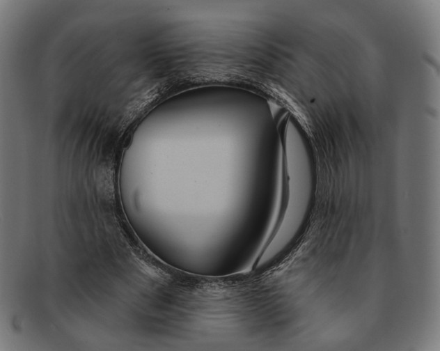 X0000091460489200709131736