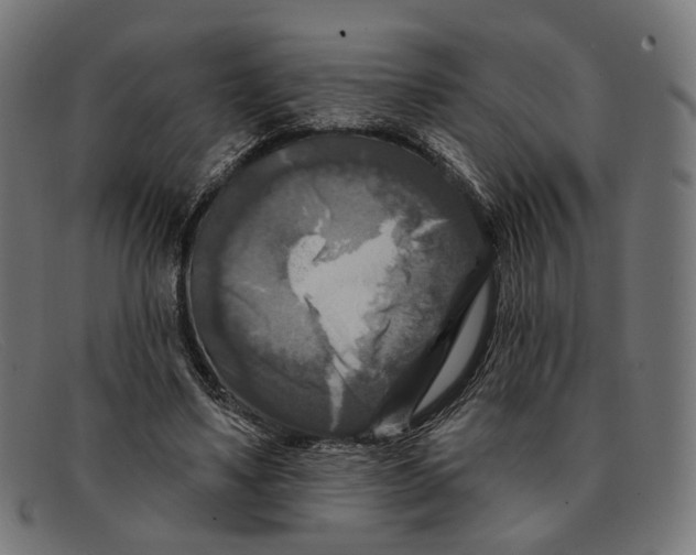 X0000091460491200709131736
