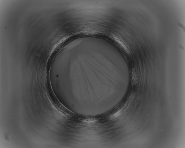 X0000091460492200709131736