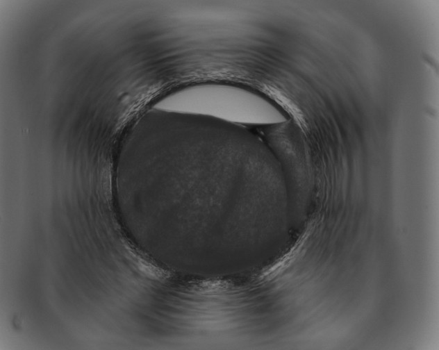 X0000091460493200709131736