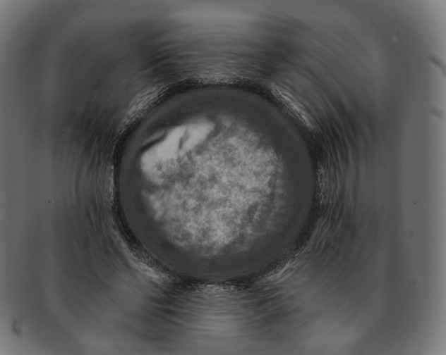 X0000091460494200709131736