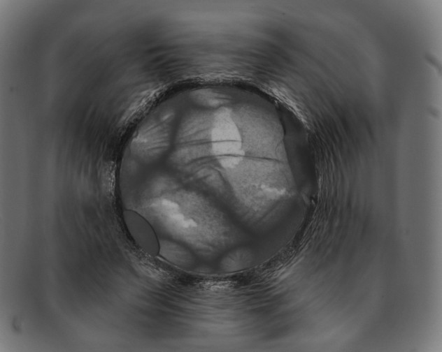 X0000091460495200709131736