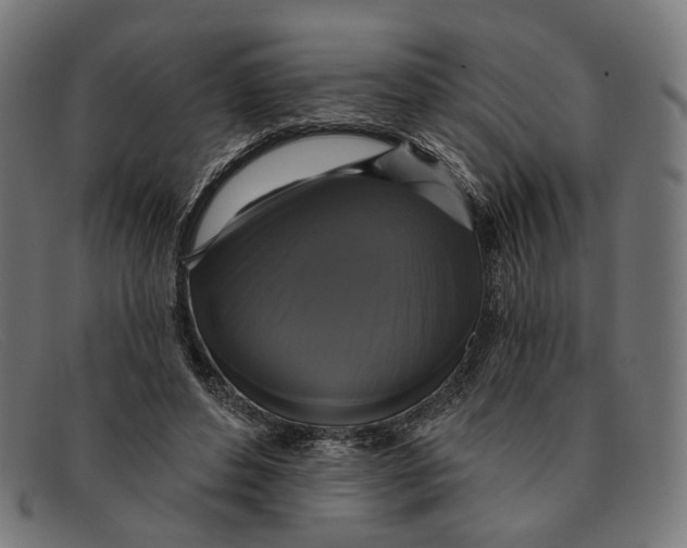 X0000091460496200709131736