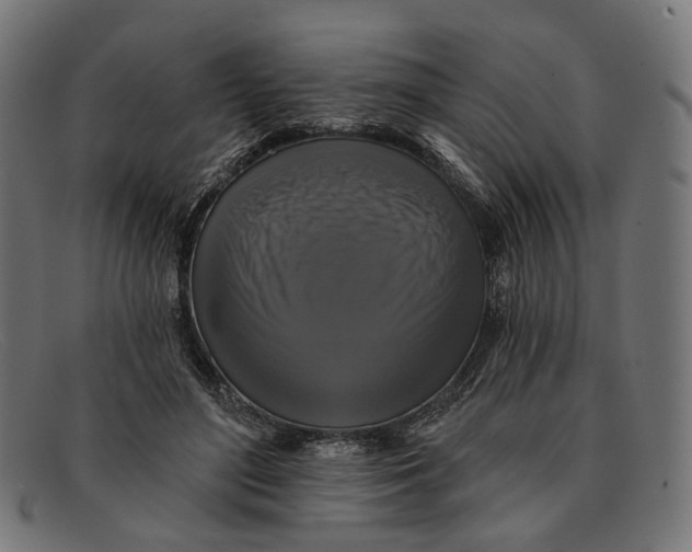X0000091460500200709131736